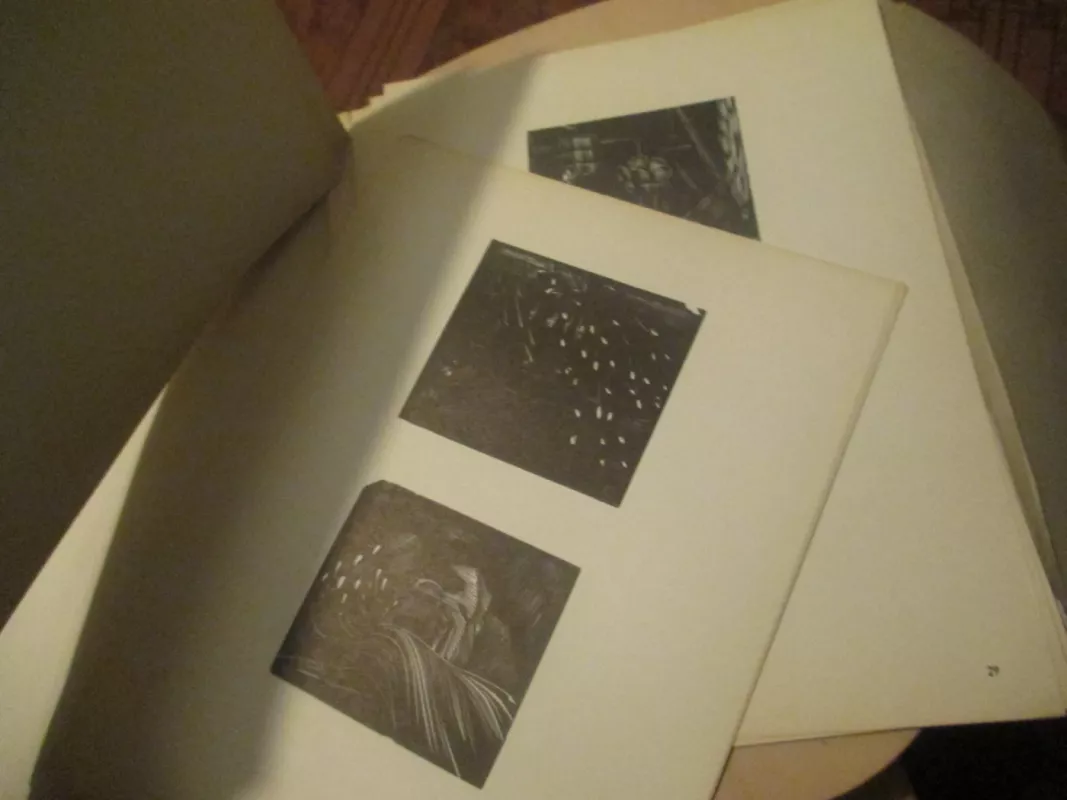 Medžio raižiniai - Mečislovas Bulaka, knyga 4