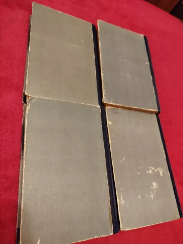 Vargdieniai ( IV tomai) - Viktoras Hugo, knyga 6