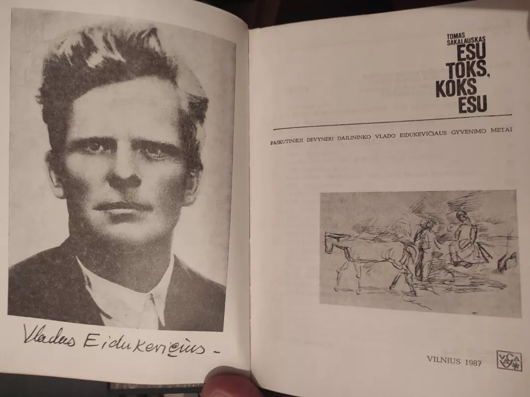 Esu toks, koks esu - Tomas Sakalauskas, knyga 6