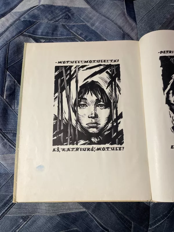 Motulė paviliojo - Pelėda Lazdynų, knyga 6