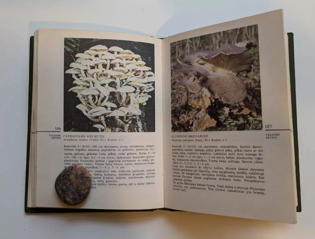 GRYBAI - Vincentas Urbonas, knyga 3