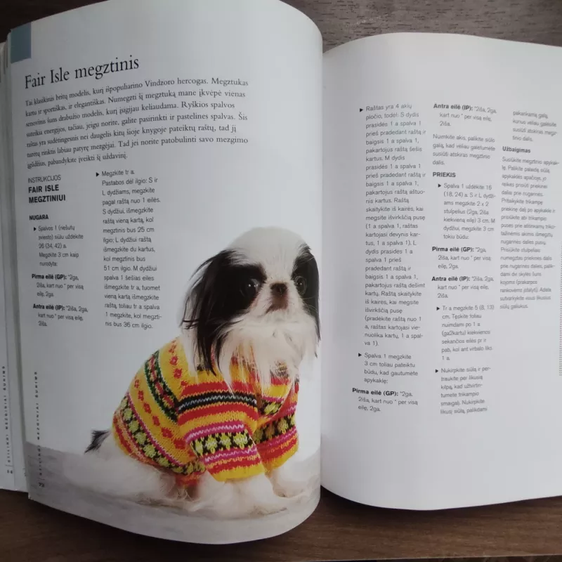 Stilingi mezginiai šunims - Ilene Hochberg, knyga 4