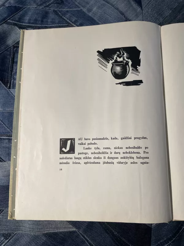 Motulė paviliojo - Pelėda Lazdynų, knyga 4