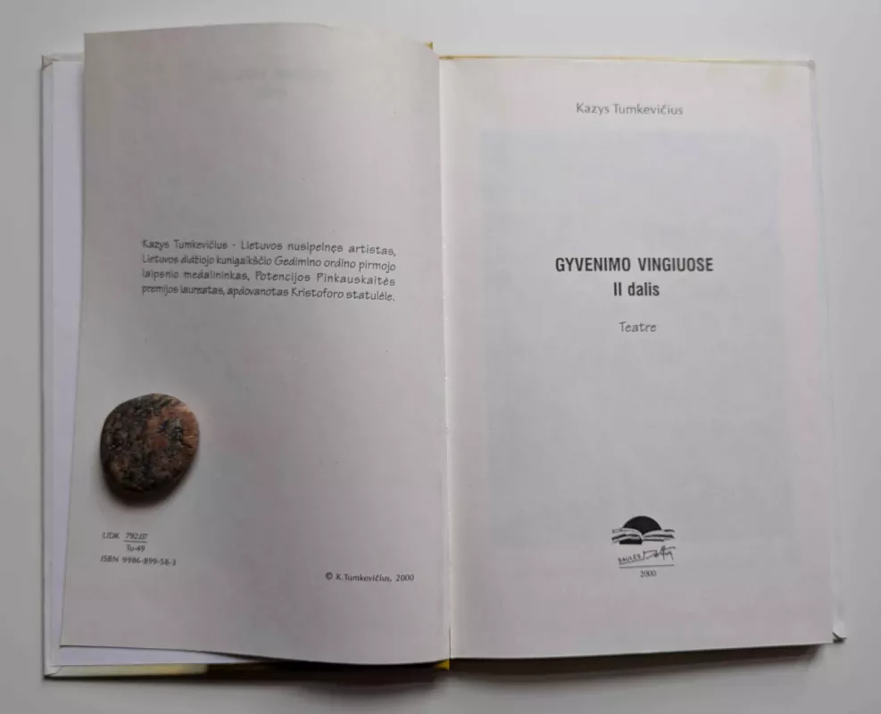 Gyvenimo vingiuose, II dalis. - Birutė Činikaitė-Vaičiulevičienė, knyga 3