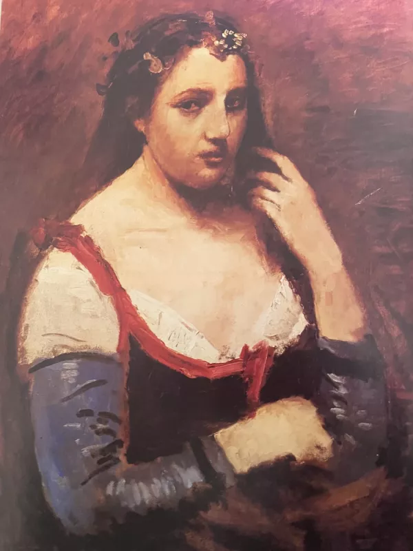 Umetnički muzej Budimpešta - Vuk Karadižič, knyga 6