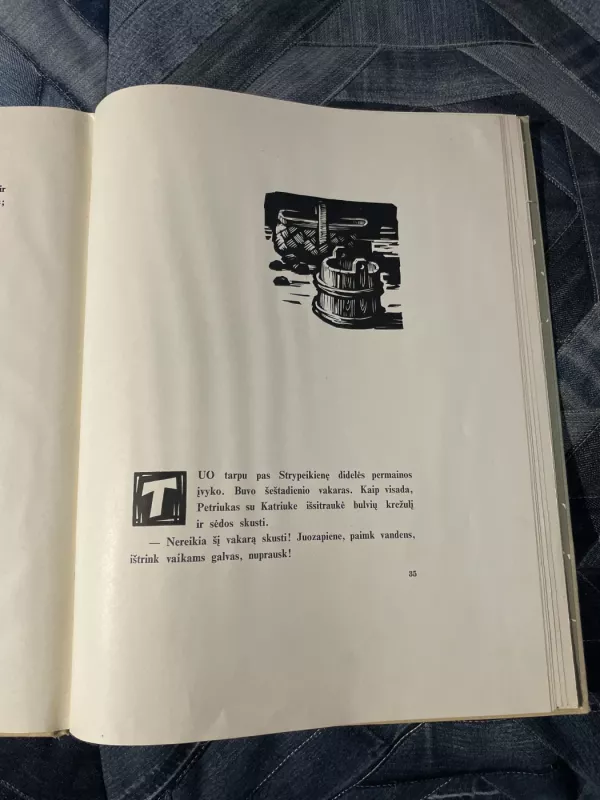 Motulė paviliojo - Pelėda Lazdynų, knyga 5
