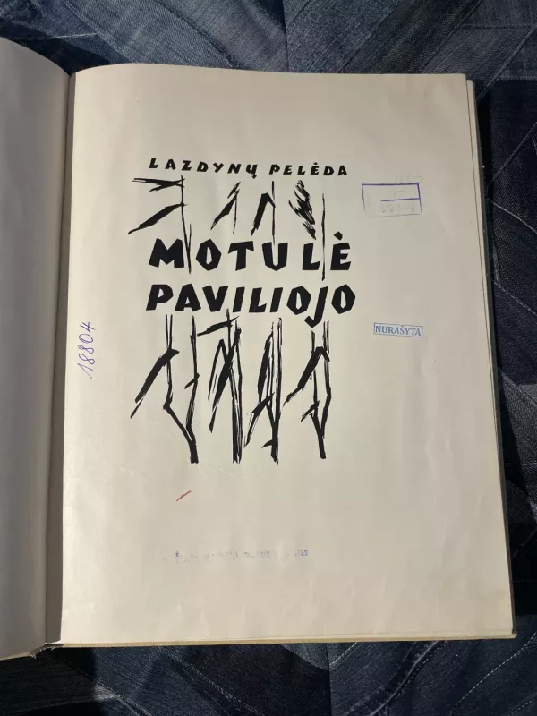 Motulė paviliojo - Pelėda Lazdynų, knyga 3