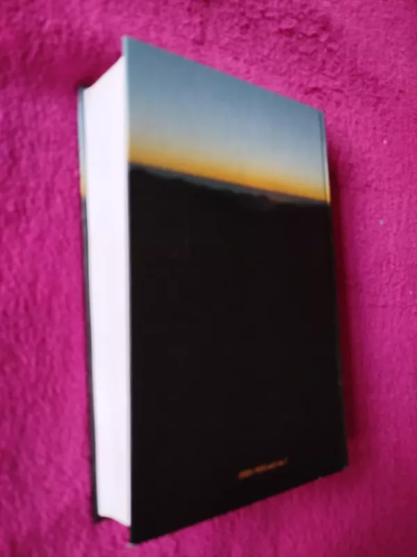 Apie likimo upę ir Vėją - Vytas Sabaliauskas, knyga 6