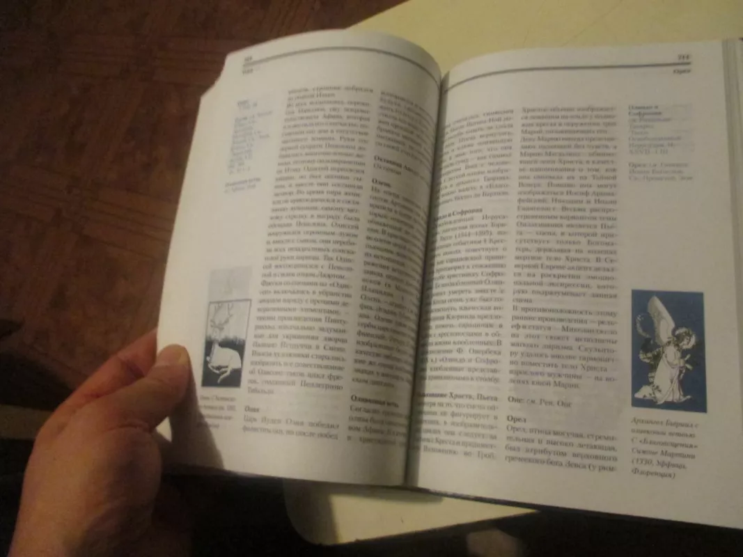 Simboliu žodynas mene (rusų kalba) - Sarah Carr-Gomm, knyga 5