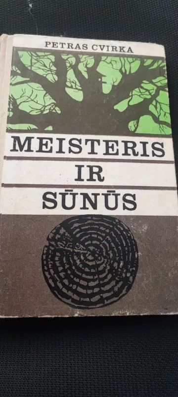 Meisteris ir sūnūs - Petras Cvirka, knyga 2