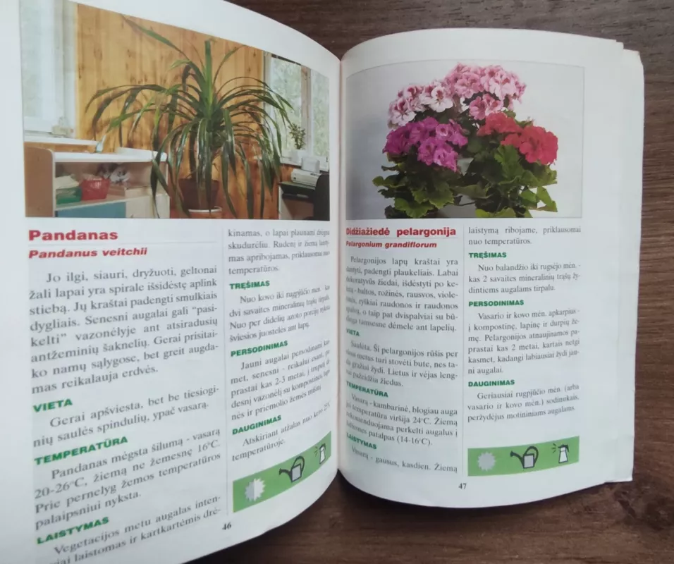 Kambarinės gėlės - Autorių Kolektyvas, knyga 3