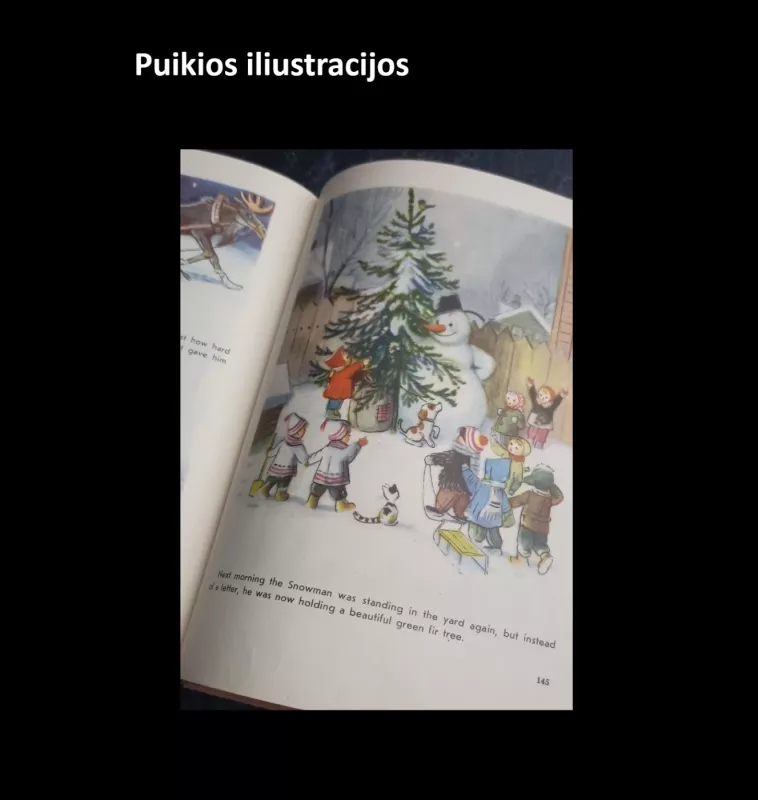 Stories and pictures - Vladimir Sutejev, knyga 5