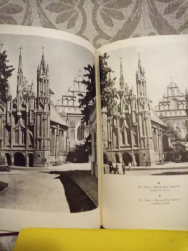 Vilniaus Šv. Onos bažnyčia. Vilniaus katedros rekonstrukcija - Vladas Drėma, knyga 4