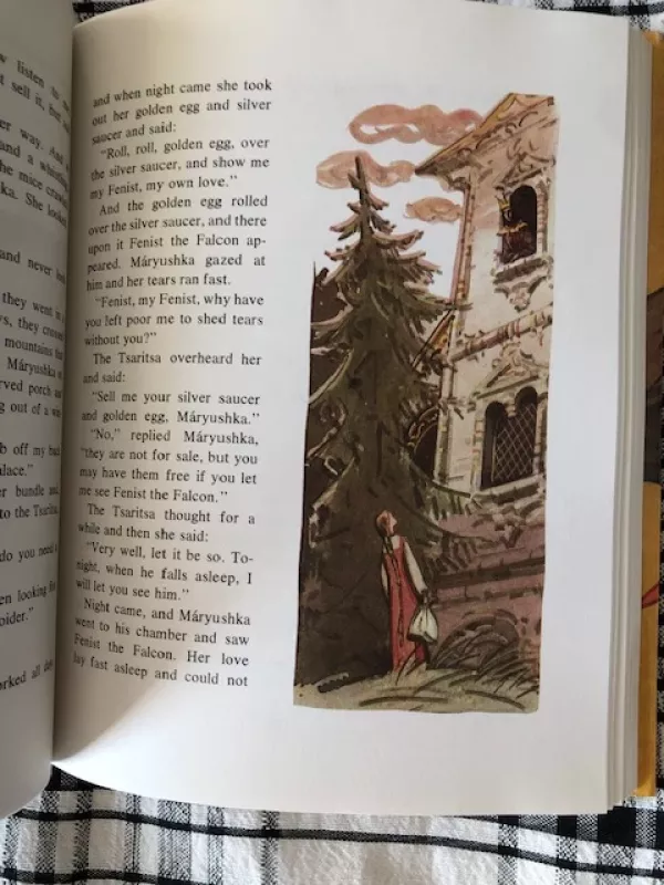 Vasilisa Gražioji (anglų kalba) - Edita Selezniova, knyga 3