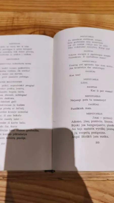 Faustas (Drama) - J. V. Getė, knyga 5