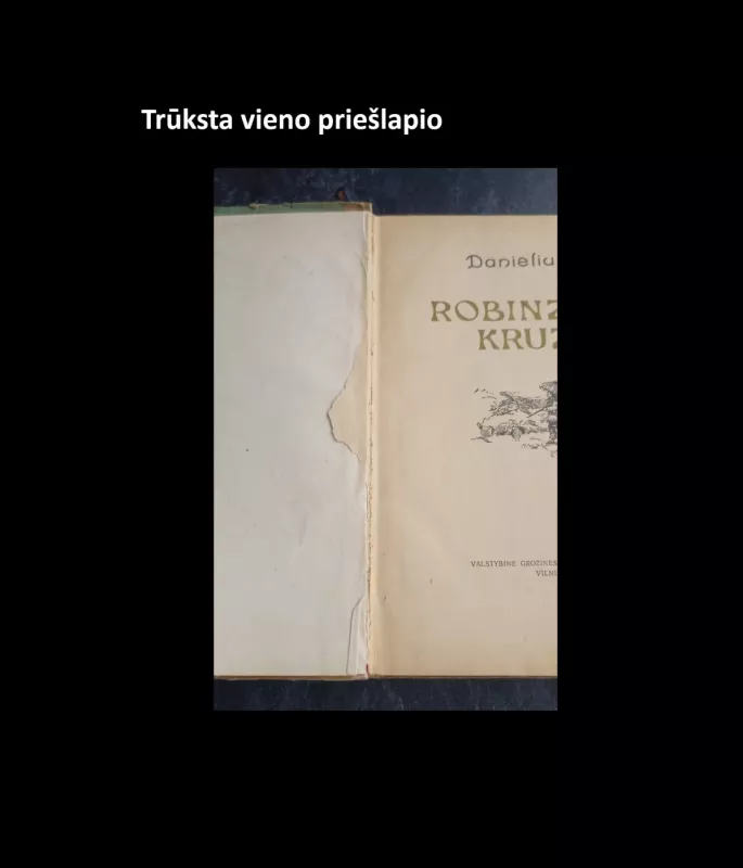 Robinzonas Kruzas - Danielius Defo, knyga 4