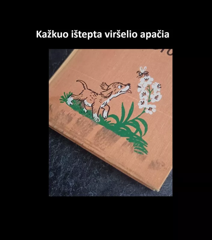 Stories and pictures - Vladimir Sutejev, knyga 4