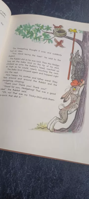 Stories and pictures - Vladimir Sutejev, knyga 6