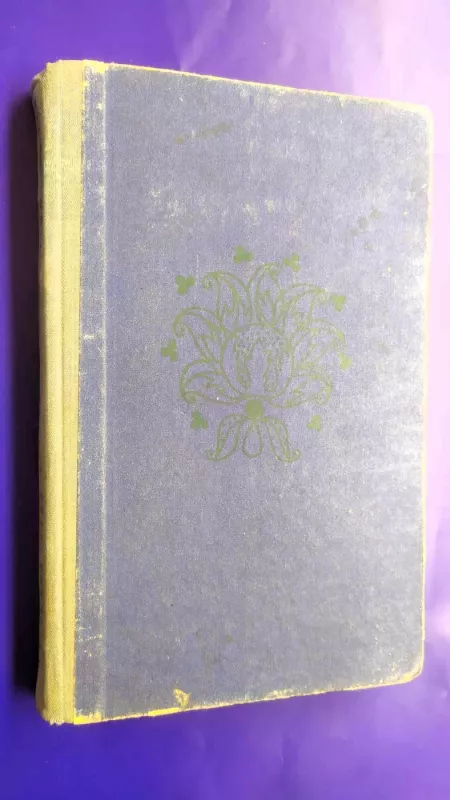 Atsisveikinimo naktis - Rabindranatas Tagorė, knyga 2