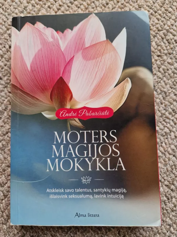 Moters magijos mokykla - Pabarčiūtė Andrė, knyga 2