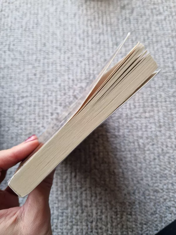 Vaikystės šešėliai - Žydrūnas Sadauskas, knyga 4