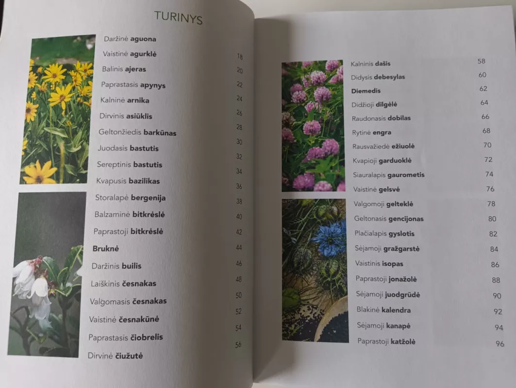 Vaistiniai ir prieskoniniai augalai - Ginatė Kalerina, knyga 4