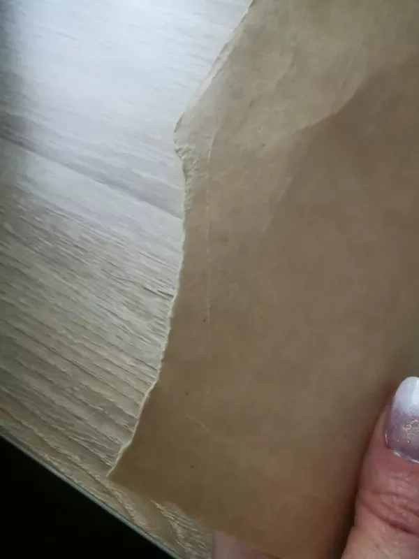 Bembis Bembio vaikai - Feliksas Zaltenas, knyga 3