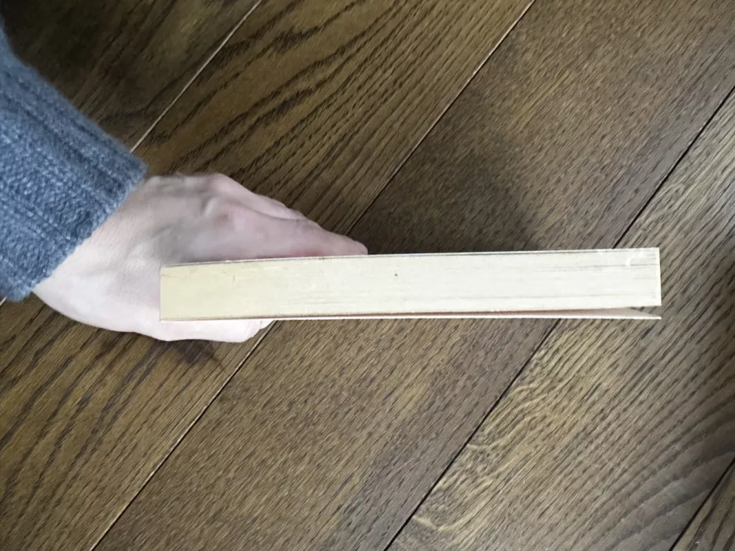 Kaip svajones paversti tikrove? - John C. Maxwell, knyga 3