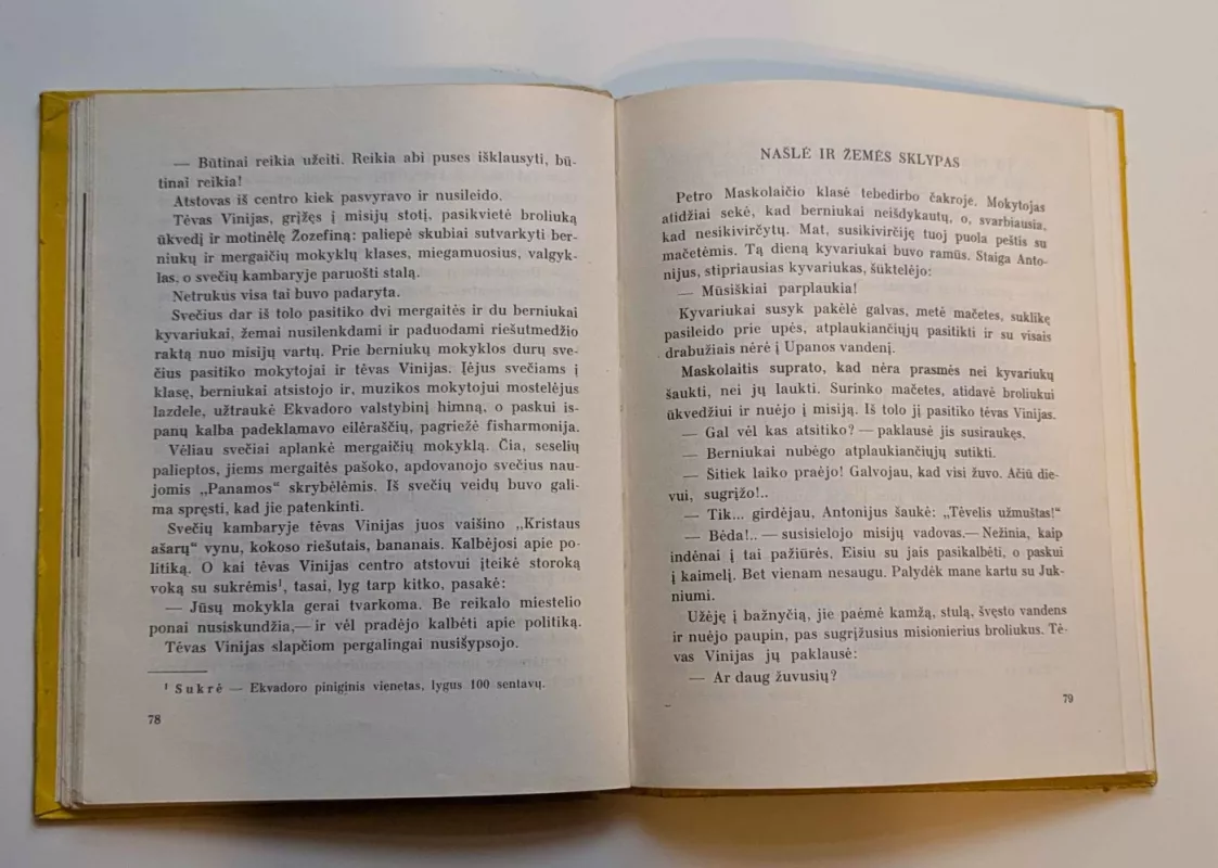 Misionieriai tarp indėnų - Alfonsas Girskis, knyga 3