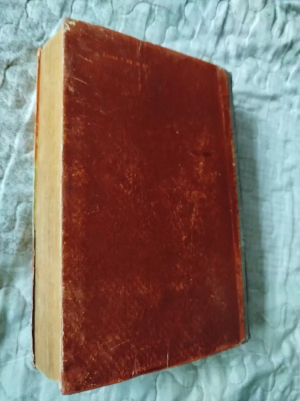 Raitelis be galvos - T. Main Ridas, knyga 6