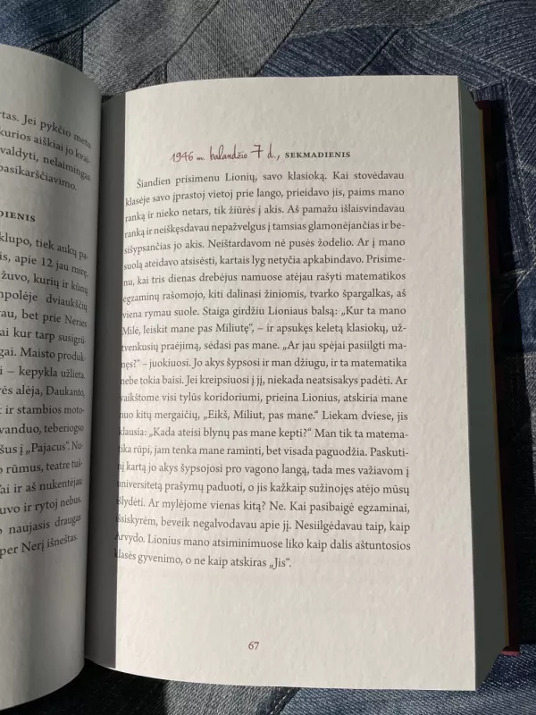 Emilijos dienoraštis: 1942–2015 m. Vienos epochos liudijimas - Mindaugas Nastaravičius, knyga 4