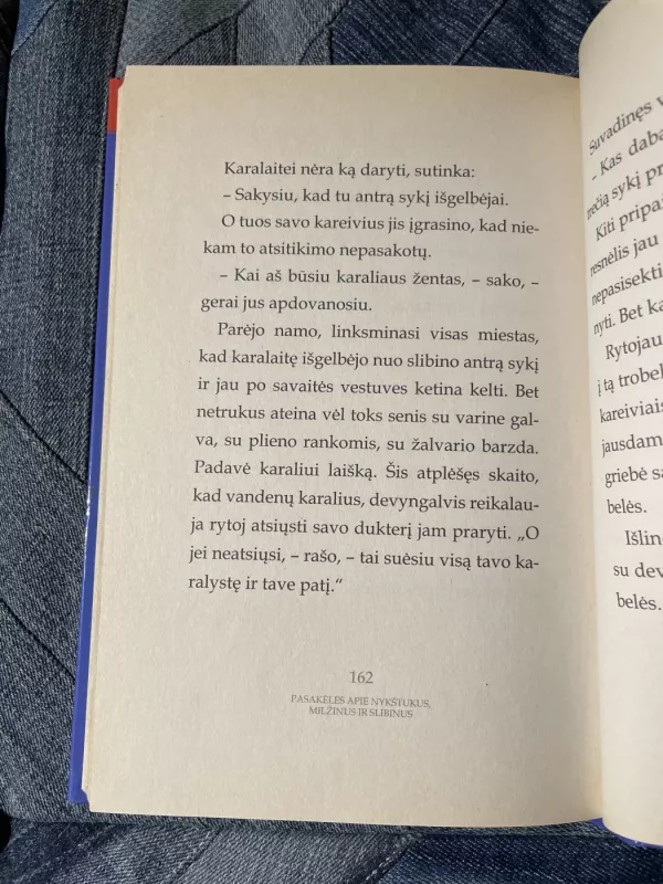 Pasakėlės apie nykštukus, milžinus ir slibinus - Valdas Sasnauskas, knyga 6