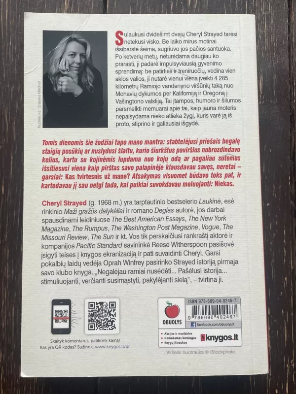 Laukinė kelionė, kuri išlaisvins moters sielą - Cheryl Strayed, knyga 3
