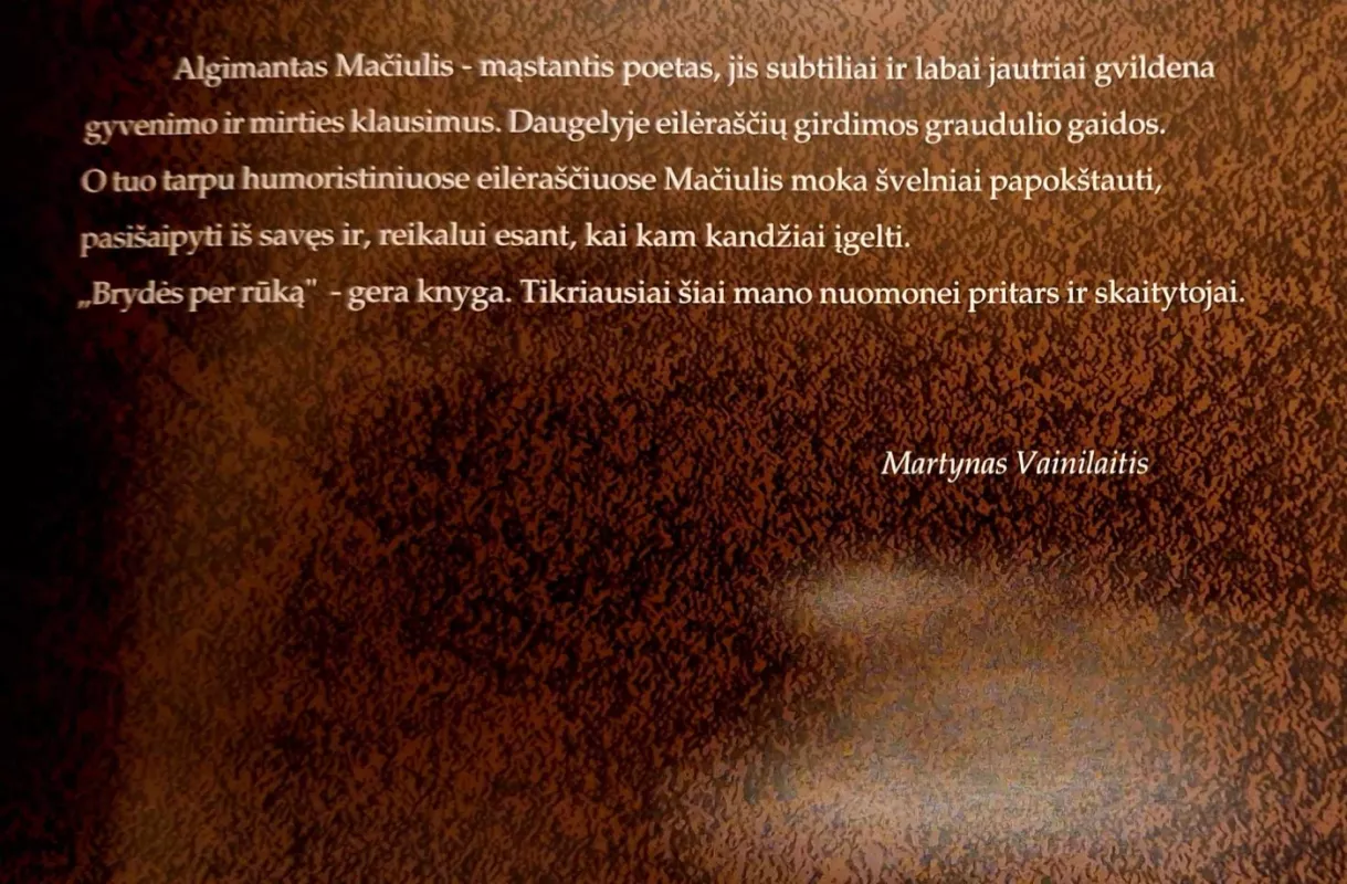 Brydės per rūką - Algimantas Mačiulis, knyga 3