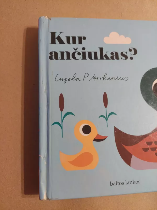 Kur ančiukas? - Ingela Arrhemus, knyga 2