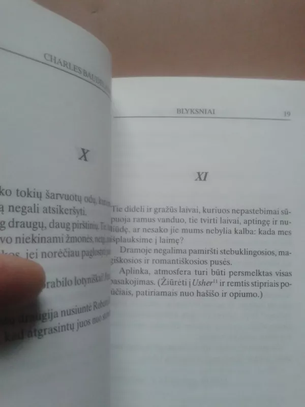Intymūs dienoraščiai - Charles Boudelaire, knyga 5