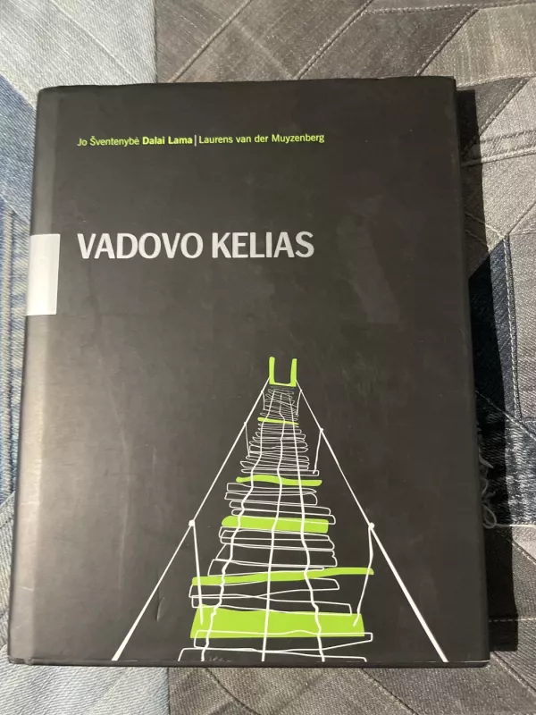 Vadovo kelias - Lama Dalai, knyga 2