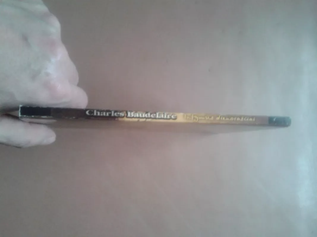 Intymūs dienoraščiai - Charles Boudelaire, knyga 3