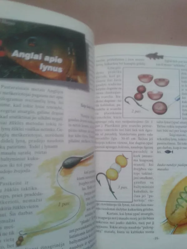 Paslaptingasis lynas - Rūta Mažecaitė, knyga 3