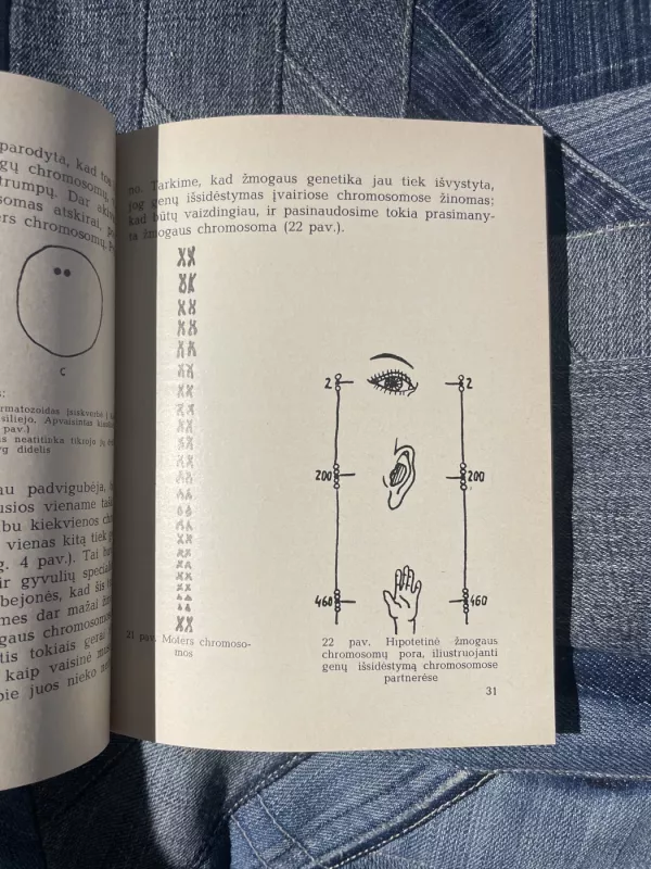 Genetika atomo amžiuje - Charlotte Auerbach, knyga 4