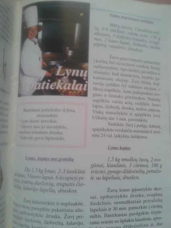 Paslaptingasis lynas - Rūta Mažecaitė, knyga 4