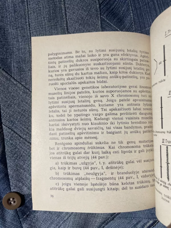 Genetika atomo amžiuje - Charlotte Auerbach, knyga 5