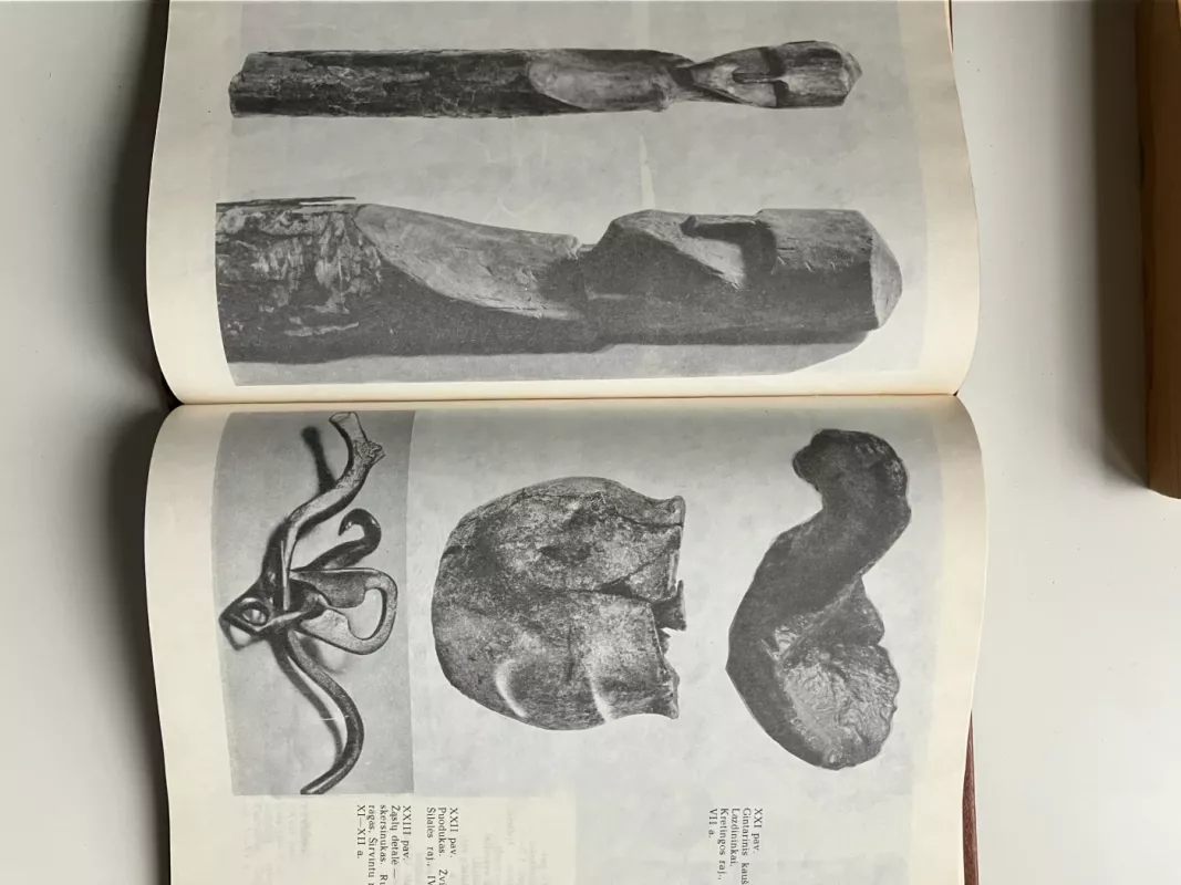 Žalvariniai senolių laiškai - Laima Nakaitė, knyga 3