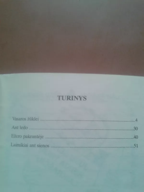 Su blizge ir kabliuku - Ričardas Adamonis, knyga 3