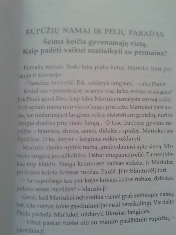 Netrukus viskas bus gerai - Cornelia Nitsch, knyga 4