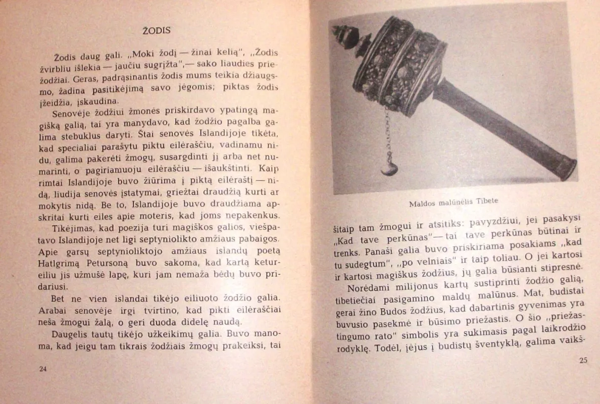 Šventi ir užkeikti akmenys - Petras Pečiūra, knyga 6