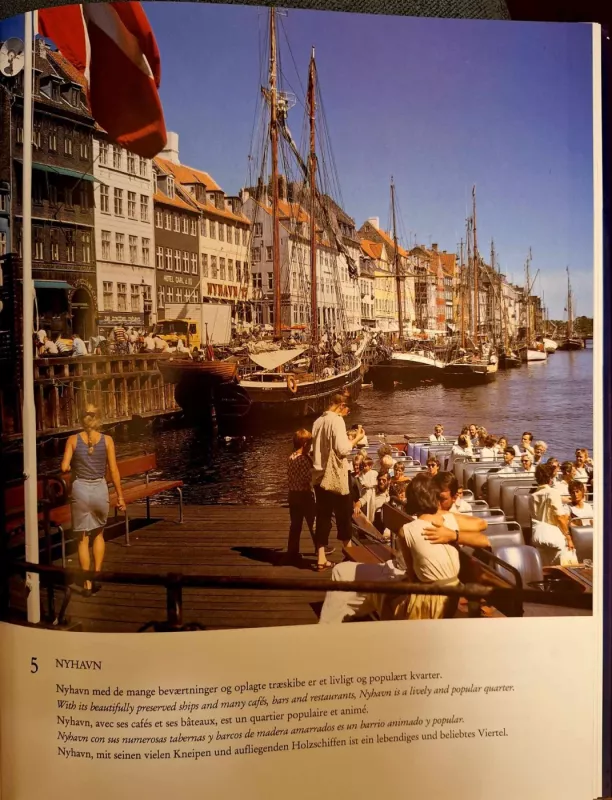 Žavingoji Danija - Inga Aistrup, knyga 6