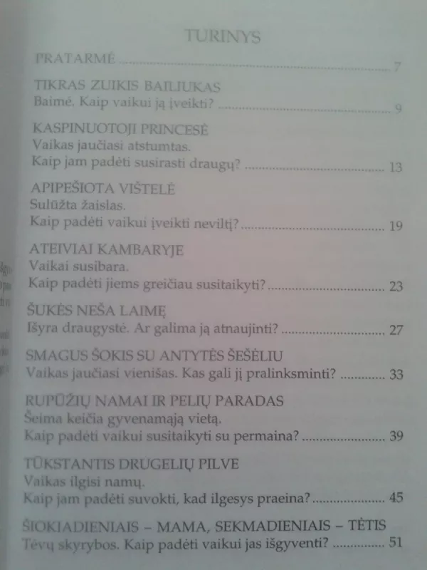 Netrukus viskas bus gerai - Cornelia Nitsch, knyga 3