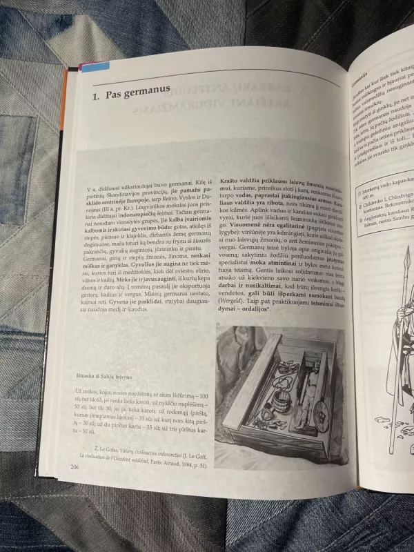 Istorija (1 dalis) - P. F. Biunaras, ir kiti , knyga 6