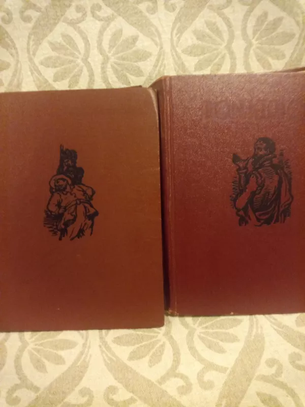 Išmoningasis Idalgas Don Kichotas iš La Mančios - I tomas - Migelis Servantesas, knyga 2